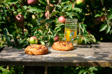 Apple pies on an old wooden table under an apple tree in a village. Bright sunny day and tasty homemade dessert with compote.