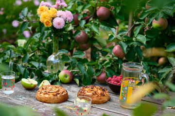Apple pies on an old wooden table under an apple tree in a village. Bright sunny day and tasty homemade dessert with compote.