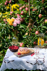 Apple pie on an old wooden table under an apple tree in a village. Bright sunny day and tasty homemade dessert with compote.