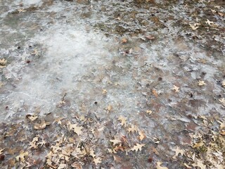 frozen water or ice with leaves and grass