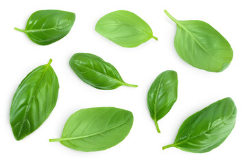Fresh basil leaf isolated on white background with clipping path and full depth of field. Top view. Flat lay
