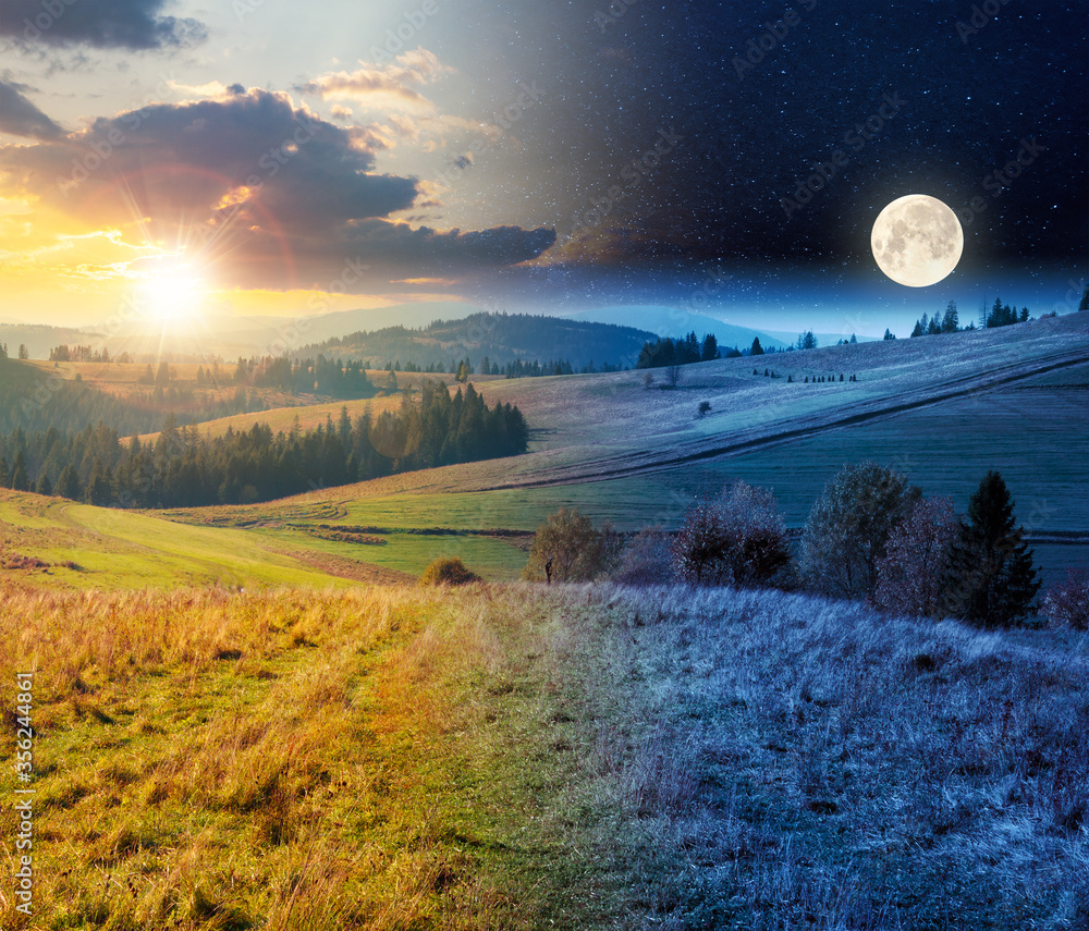 Wall mural day and night time change concept above forest in red foliage. trees with branches with red foliage 