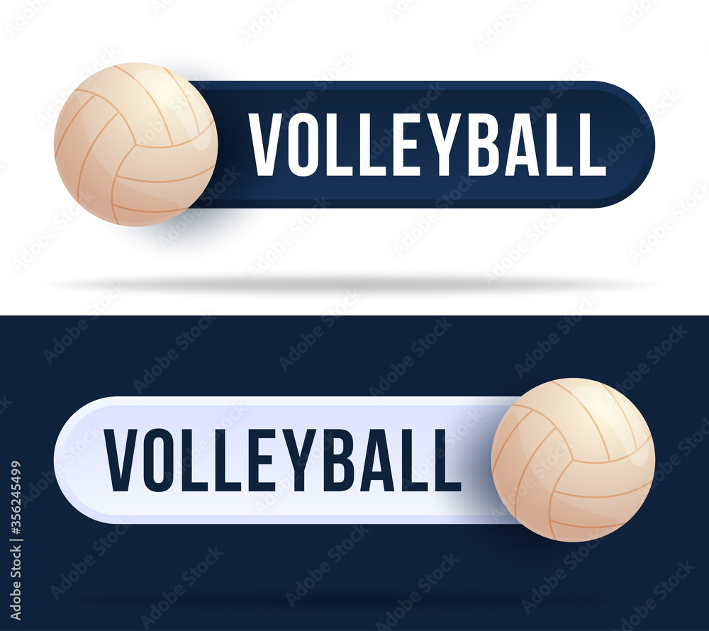 Poster volleyball toggle switch buttons. vector illustration with basketball ball and web button with text