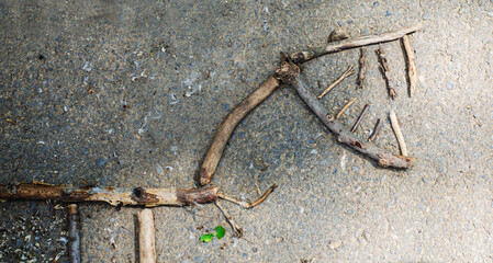 dinosaur skeleton laid out of sticks on the ground