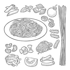 Different types macaroni. Vector vintage black engraving isolated on white