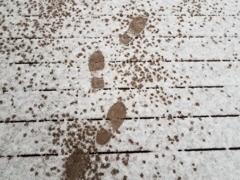foot prints on white snow and ice on wood deck or ground