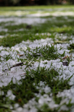 Granizo en el pasto