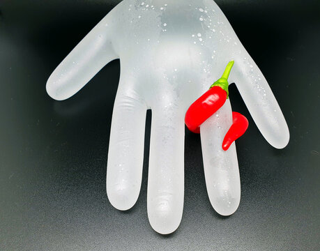 a ring of natural red hot chili pepper on the finger of a latex white glove filled with water, on a black background