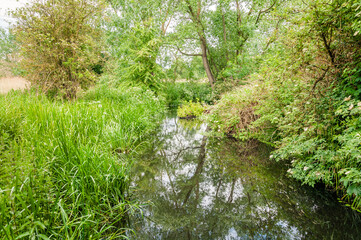 Fototapeta na wymiar Morden, London, England, United Kingdom - 9 June 2015: River Wandle flowing through the National Trust grounds of Morden Hall Park