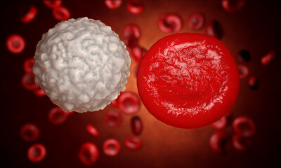 Erythrocyte, red blood cells, anatomy concept. 3d rendering