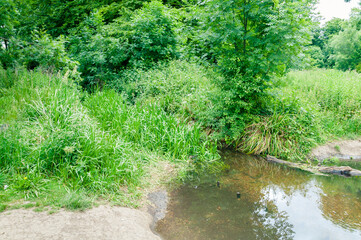 Fototapeta na wymiar London, England, United Kingdom - 9 June 2015: The River Wandle running through Morden Hall Park in South West London 