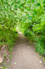 Fototapeta na wymiar Morden, London, England, United Kingdom - 9 June 2015:Trail in Morden park is a serene oasis in the heart of suburban London