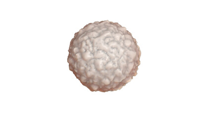 white blood cell, leucocyte. 3d render