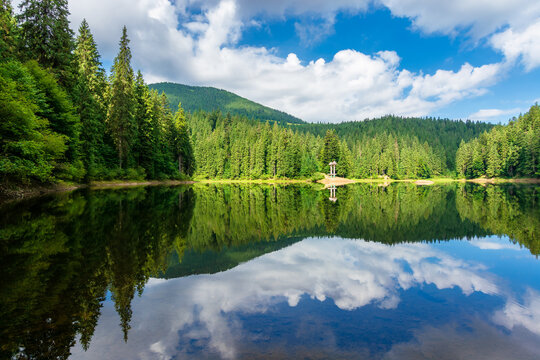 reflection in the water. lake among the forest. beautiful nature landscape in summer. sunny weather with puffy clouds on the sky