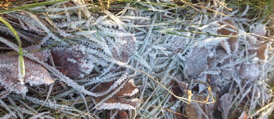 Сrystals of hoarfrost on the grass