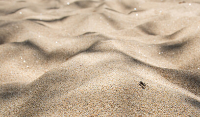 Fototapeta na wymiar Golden desert with an ant climbing the sand mountains