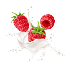 Vector 3d raspberry in milk splash realistic