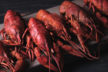 Red boiled crayfish on a wooden board close-up. Great beer snack.