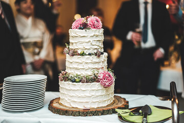Three-tiered white wedding cake decorated by flowers standing at stack of plates on serving table. Wedding party in background. Wedding day concept.