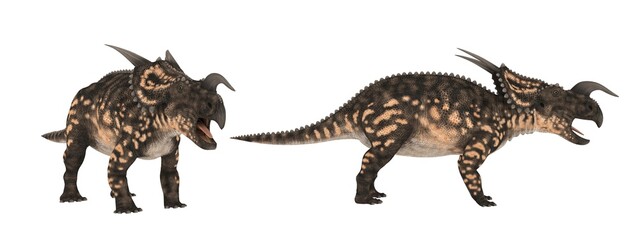 Einiosaurus. Dinosaur isolate on white