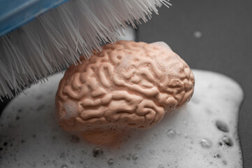 Brainwashing, lower critical thinking and mind control concept with brush scrubbing a human brain...