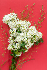 Fresh bouquet of white flowers on a bright red background, natural vertical wallpaper