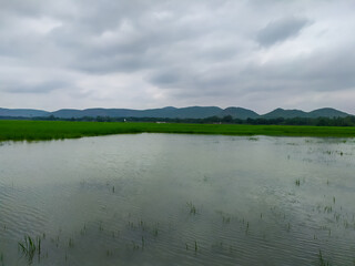 A cloudy and nature base background image , amazing view on top of the olasuni hill at jajpur odisha, before rain view, farming ground, wallpaper background