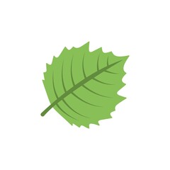 Green leaf icon in flat design style.