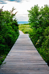 Beautiful beach wooden deck boardwalk bridge through the trees