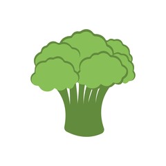 Broccoli icon in flat design style.