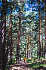 mujer en el monte con camara de fotos