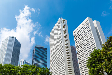 Fototapeta premium (東京都ｰ都市風景)新緑と夏空の西新宿ビル風景１