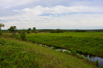 Fototapeta na wymiar Field with a stream in summer
