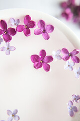 Five-pointed lilac flower among lilac flowers in a cup with water. Moke up space for text. Lilac branch with a flower with 5 petals.