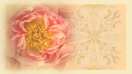 Vintage floral background. Blooming peony flower with copy space