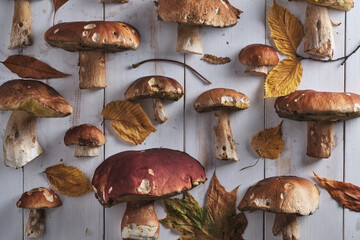 Forest mushrooms in autumn leaves on a white wooden table. Autumn background screensaver with a rustic landscape.