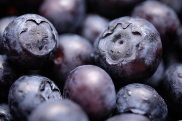 Ripe blueberries close up. Farmer's berry for health.