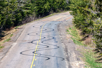 Wavy skid marks on a two lane highway. Marks and in a passing zone. Trees on both sides of the...