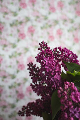 A bouquet of lilacs. Close up. Beautiful violet flowers. Greeting card. Spring flowers.