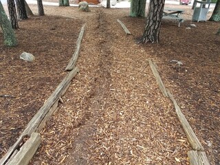 brown mulch or wood chip path with erosion