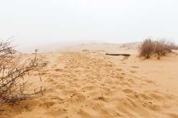 Fototapeta na wymiar Barkhan Sarykum. Dagestan, Russia. Sand mountain in the Caucasus. Dune.