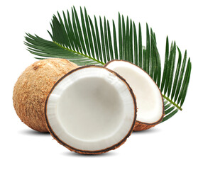 Coconut palm fruit isolated on white background