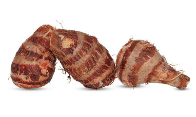 Sprouting taro root isolated on white