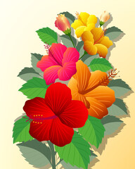 Hibiscus flower vector colorful
