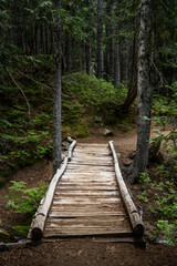 Fototapeta premium Rickety Wooden Bridge Over Ravine in Forest