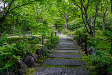 庭園の新緑と石畳