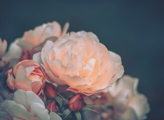 Blumen-Hintergrund geschlossen  Natur-Hintergrund  Vintage-Stil © joeycheung