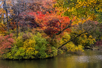 Autumn abundance of color