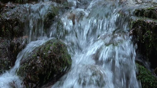 MS Little brook flowing on moss-covered stones / Kastel-Staadt, Rhineland-Palatinate, Germany