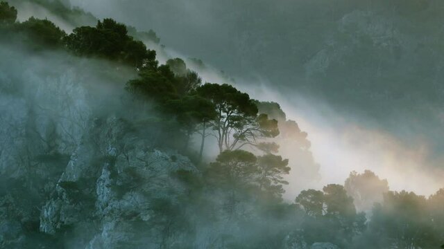 WS Clouds over forest in mountains / Pollenca, Majorca, Spain